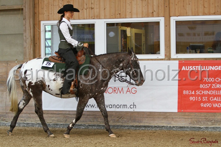 32-ApHC OWP_011.jpg